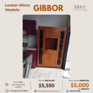Locker Micro Gibbor