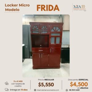 Locker Micro Frida